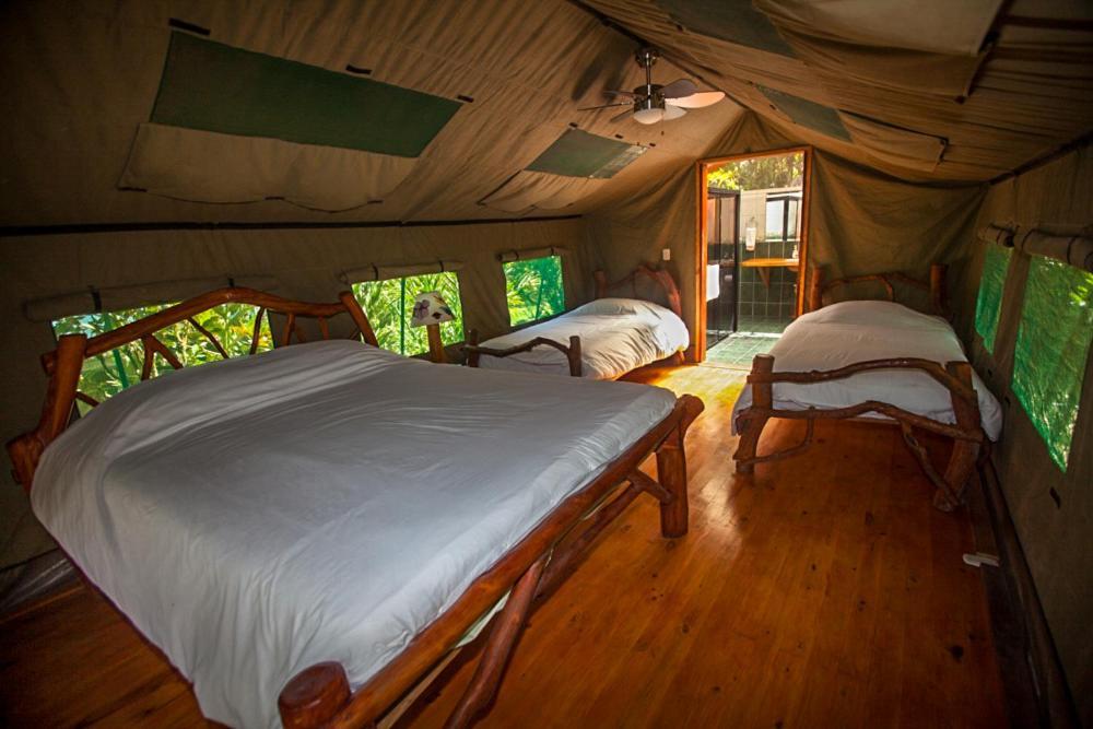 Rafiki Safari Lodge Savegre Exteriér fotografie