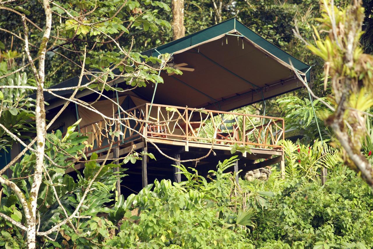 Rafiki Safari Lodge Savegre Pokoj fotografie