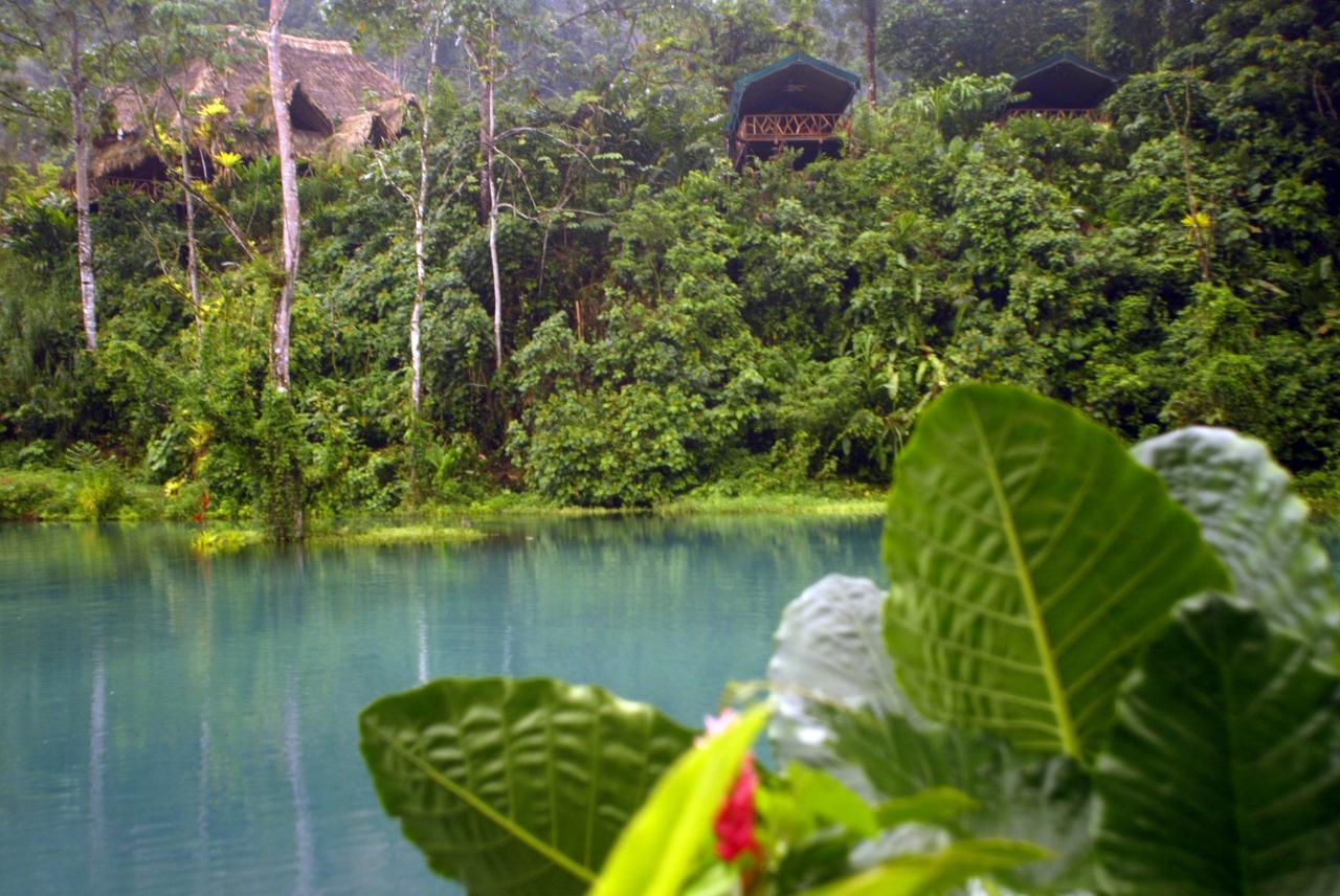 Rafiki Safari Lodge Savegre Pokoj fotografie